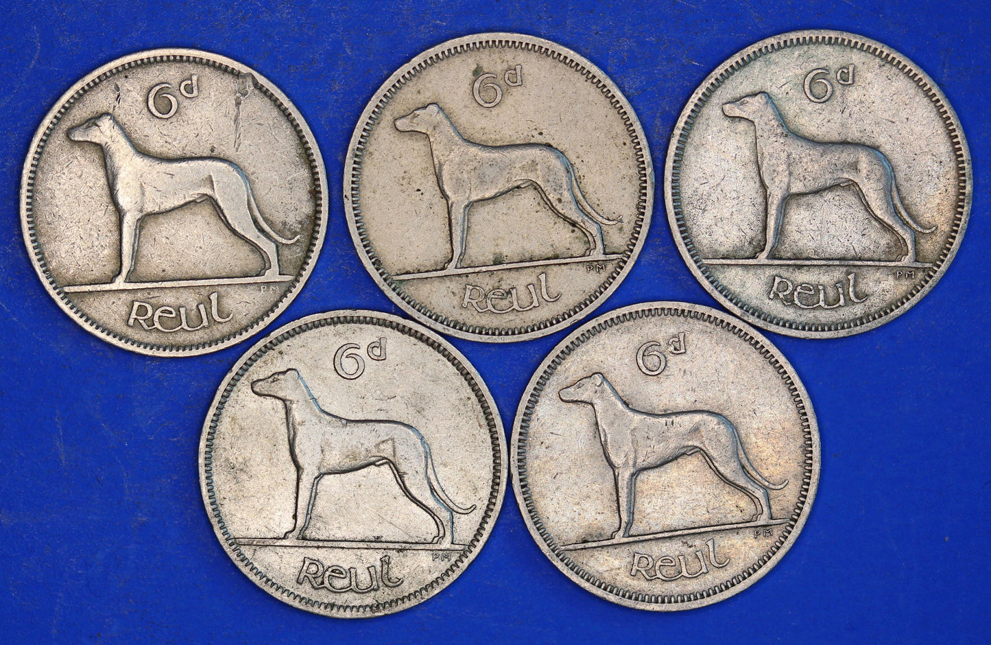 GENUINE 5 Irish Sixpences 6d Ireland EIRE Irish Wolfhound coins, various dates [03/26 34796]