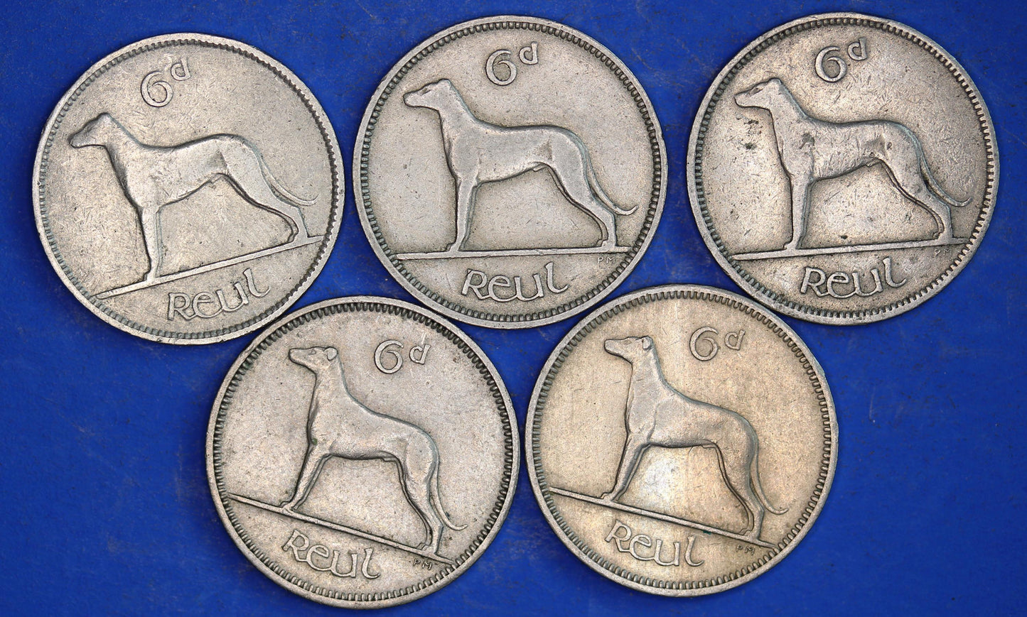 GENUINE 5 Irish Sixpences 6d Ireland EIRE Irish Wolfhound coins, various dates [03/26 34798]