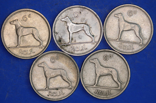 GENUINE 5 Irish Sixpences 6d Ireland EIRE Irish Wolfhound coins, various dates [03/26 34801]