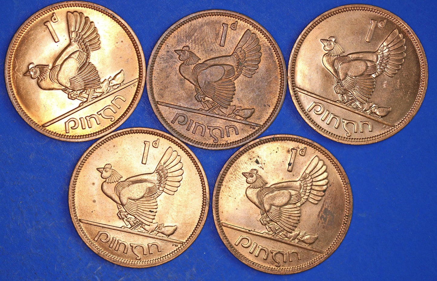 GENUINE Collection Irish Penny Pennies 1d EIRE Ireland coins, Hen with Chicks, All 1968, aUNC [03/26 34810]