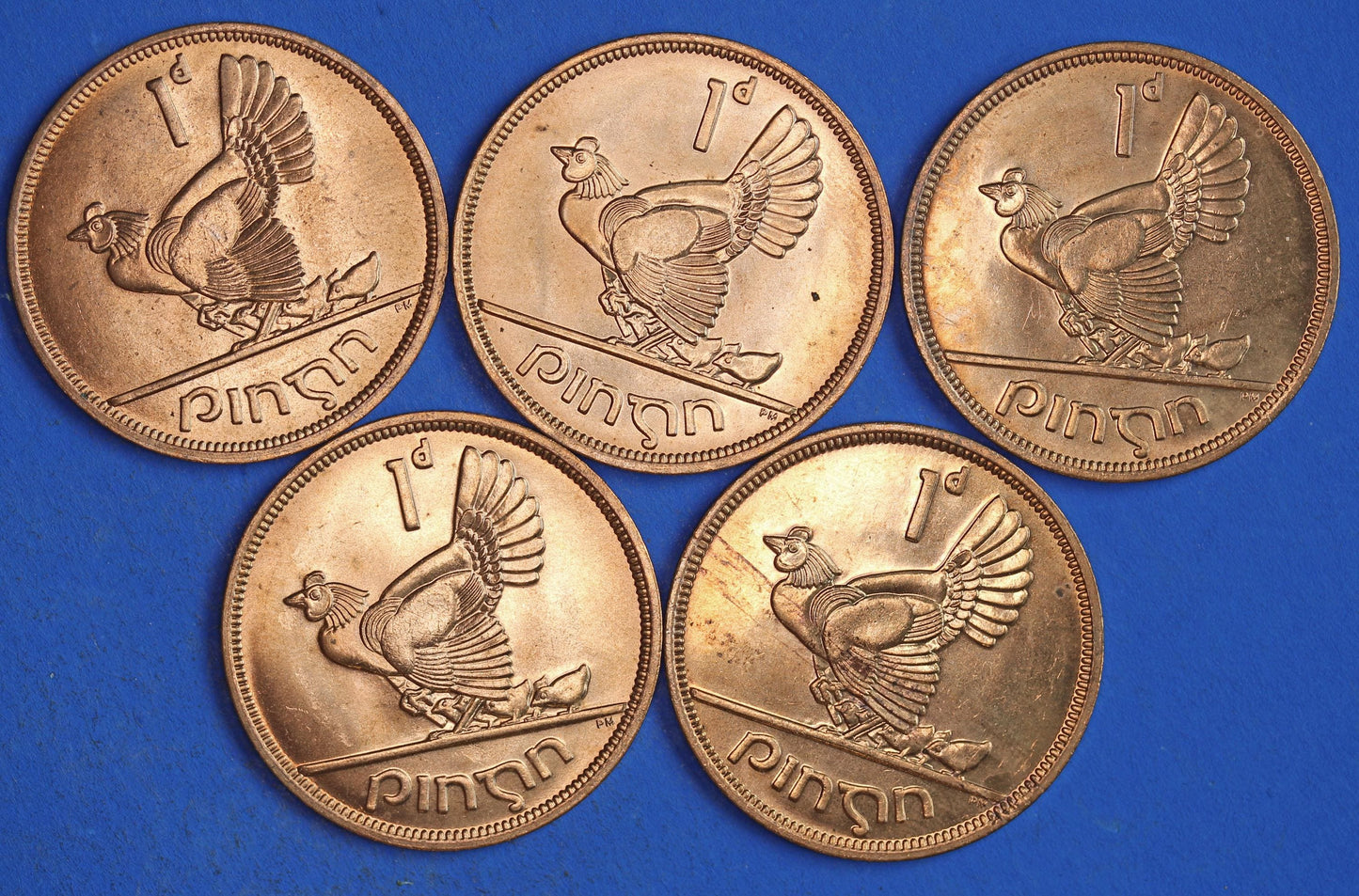 GENUINE Collection Irish Penny Pennies 1d EIRE Ireland coins, Hen with Chicks, All 1968, aUNC [03/26 34812]