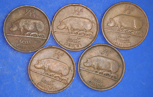 GENUINE Collection 5 Irish Half Penny Pennies 1/2d EIRE Ireland coins, different dates, Sow & Piglets [03/26 34814]