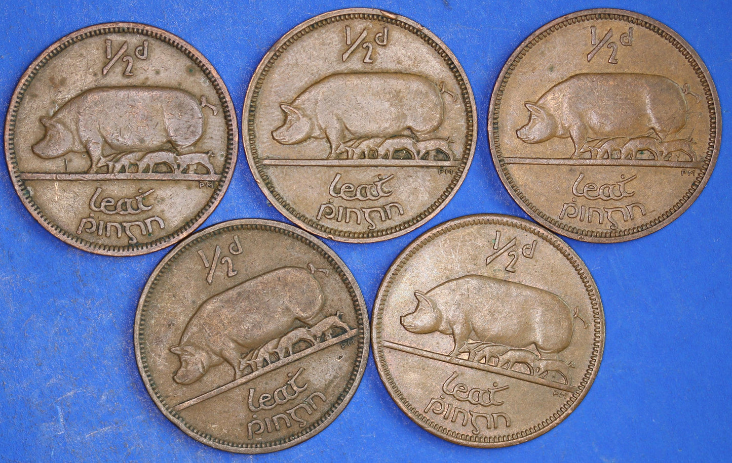 GENUINE Collection 5 Irish Half Penny Pennies 1/2d EIRE Ireland coins, different dates, Sow & Piglets [03/26 34815]
