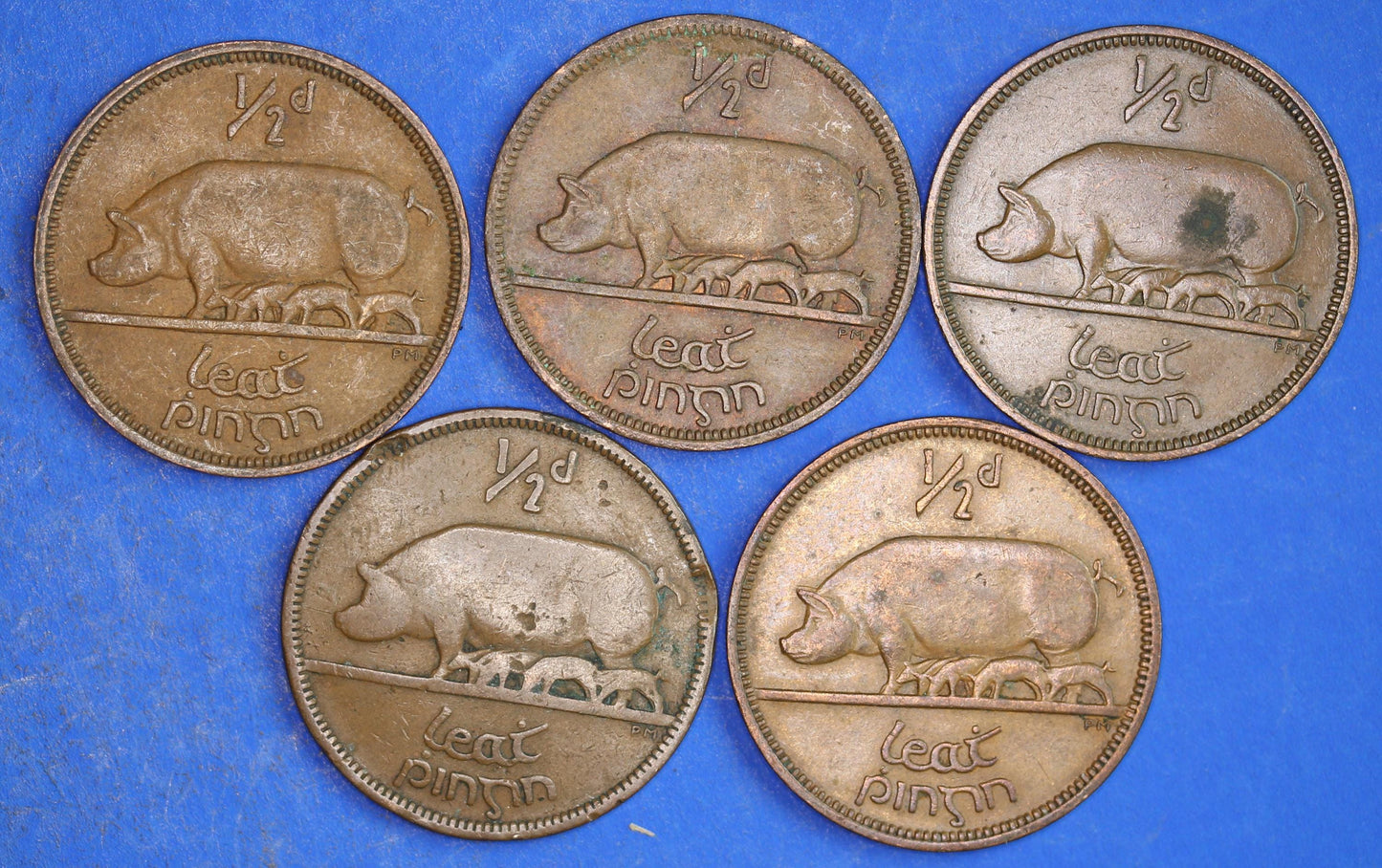 GENUINE Collection 5 Irish Half Penny Pennies 1/2d EIRE Ireland coins, different dates, Sow & Piglets [03/26 34816]