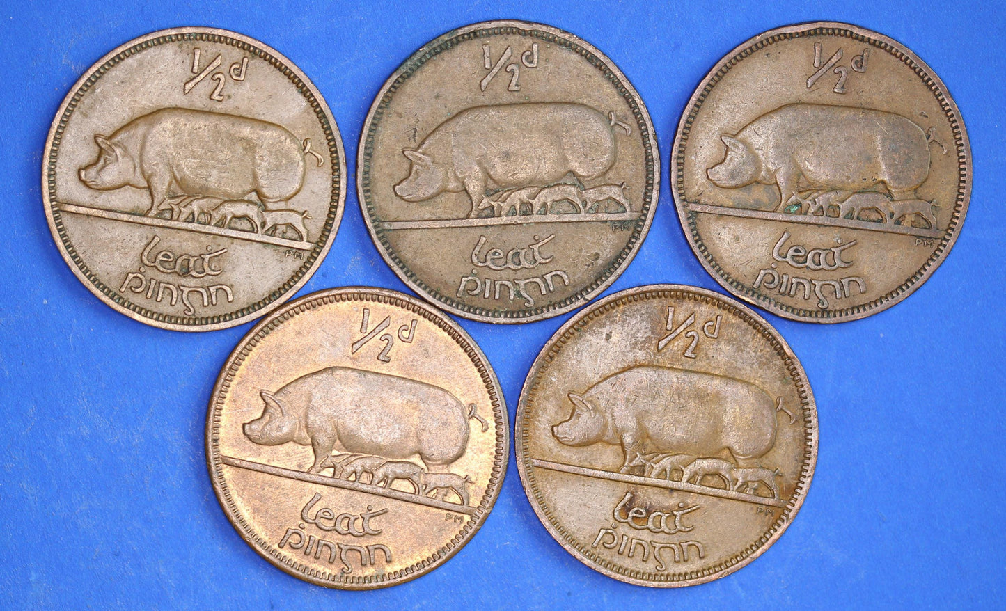 GENUINE Collection 5 Irish Half Penny Pennies 1/2d EIRE Ireland coins, different dates, Sow & Piglets [03/26 31718]
