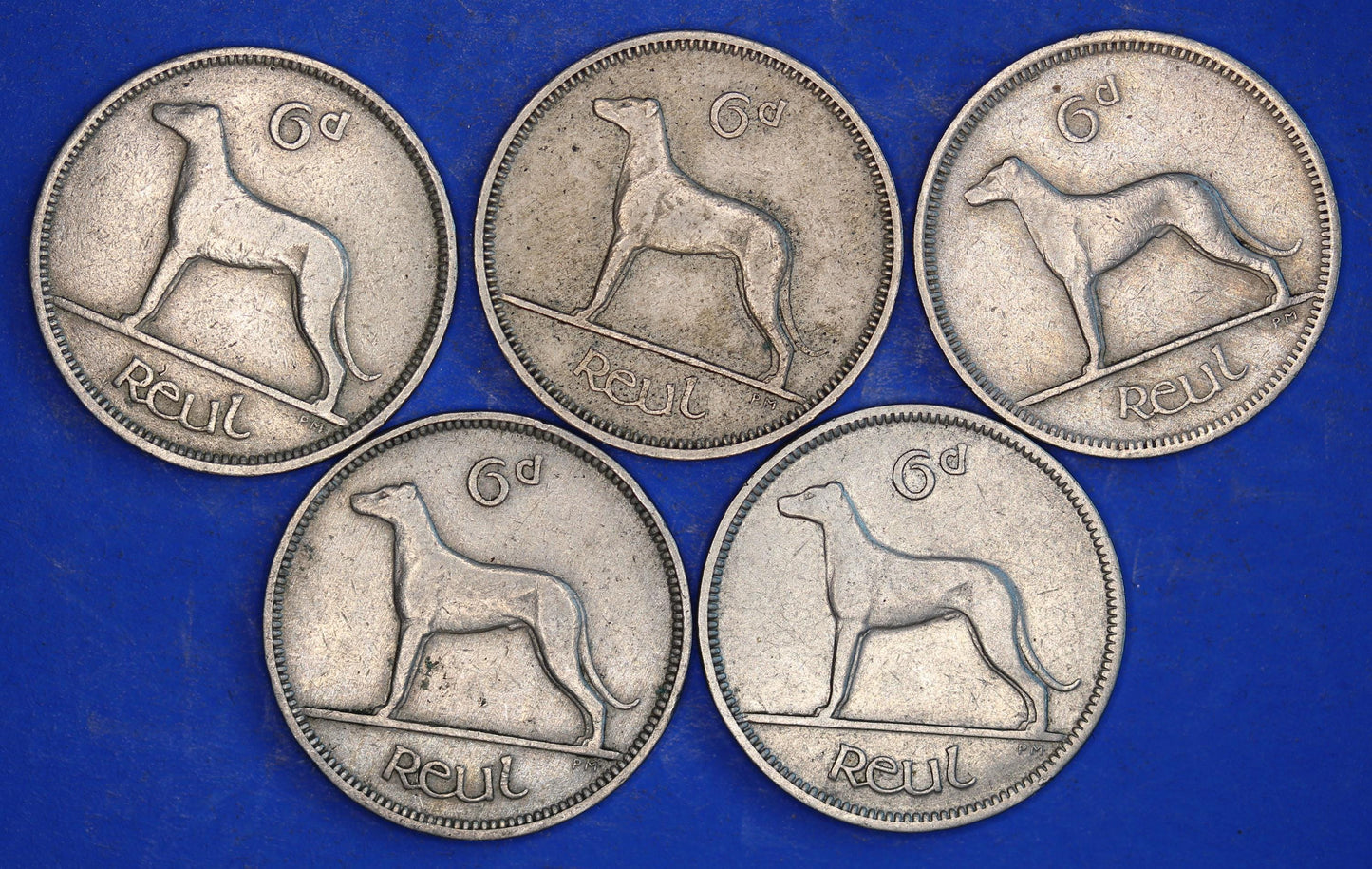 GENUINE 5 Irish Sixpences 6d Ireland EIRE Irish Wolfhound coins, various dates [03/26 34797]