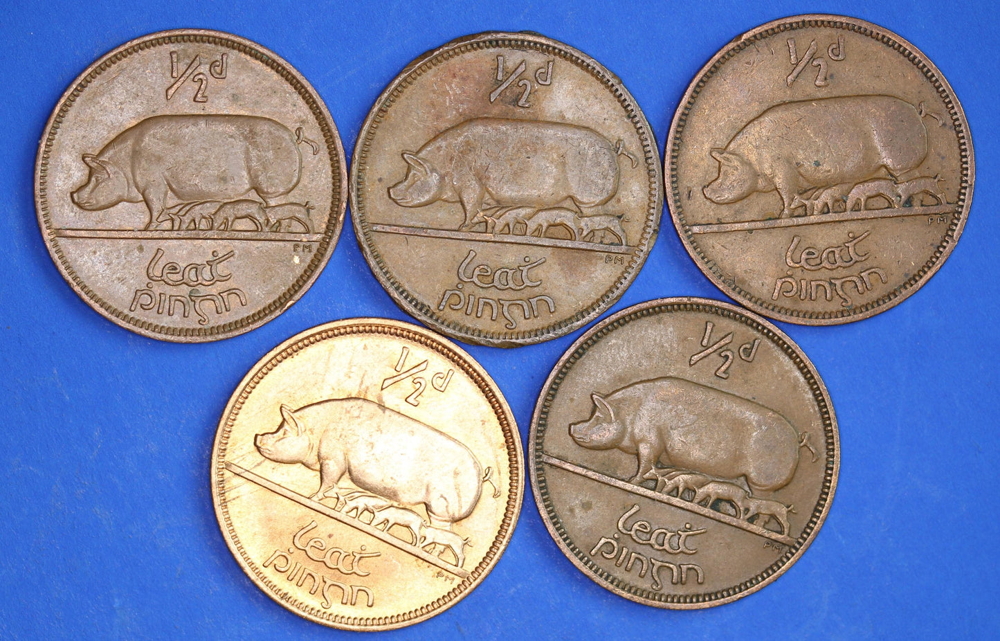 GENUINE Collection 5 Irish Half Penny Pennies 1/2d EIRE Ireland coins, different dates, Sow & Piglets [03/26 34817]