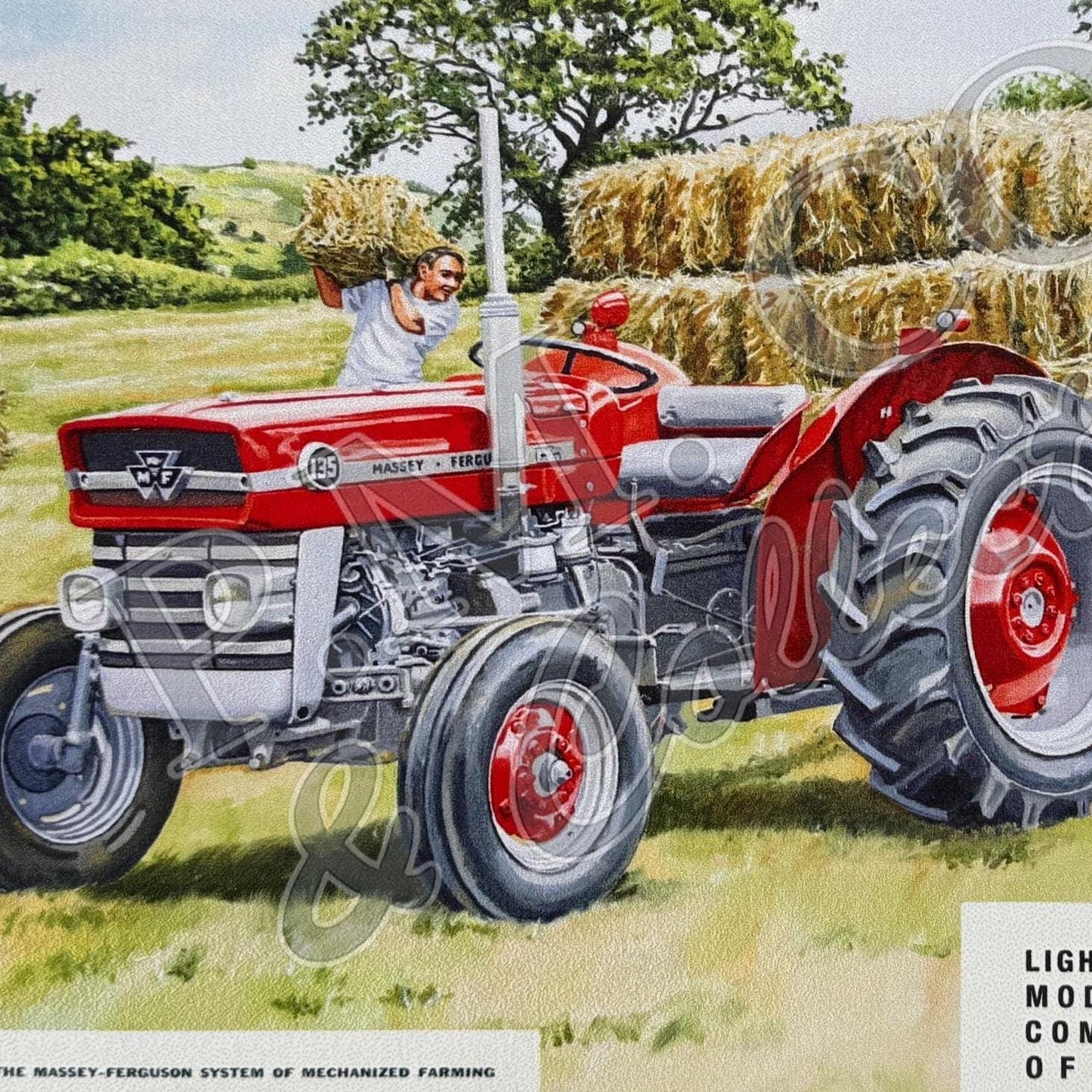 Metal Vintage Style Wall Sign - Massey Ferguson 135, 20cm x 30cm [MF04]