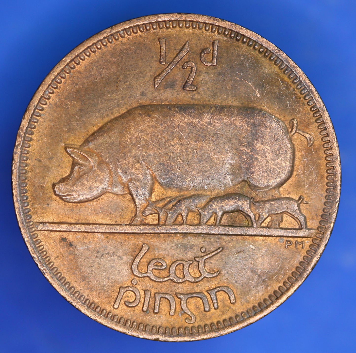 GENUINE 1942 Irish Halfpenny EIRE Ireland coin, Sow & Piglets [06/26 35281]