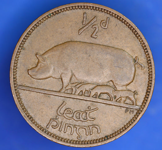 GENUINE 1965 Irish Halfpenny EIRE Ireland coin, Sow & Piglets [07/26 35280]