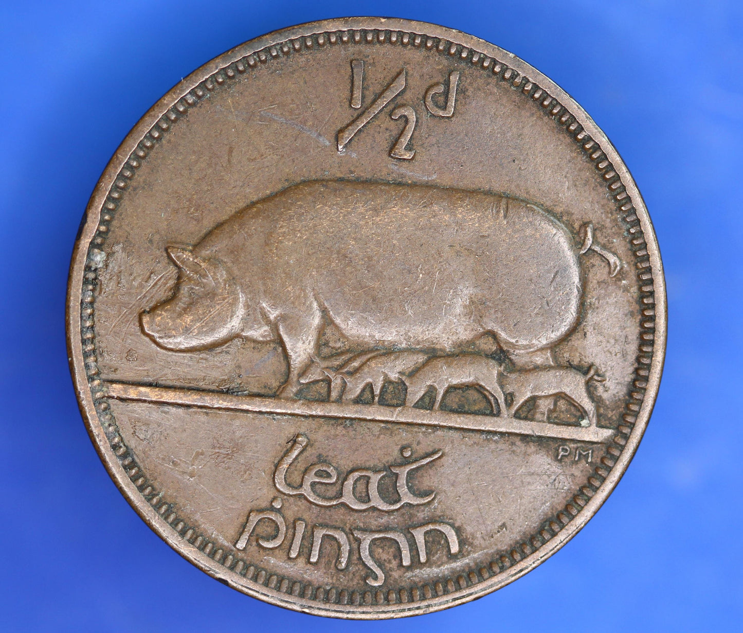 GENUINE 1935 Irish Halfpenny EIRE Ireland coin, Sow & Piglets [07/26 35283]
