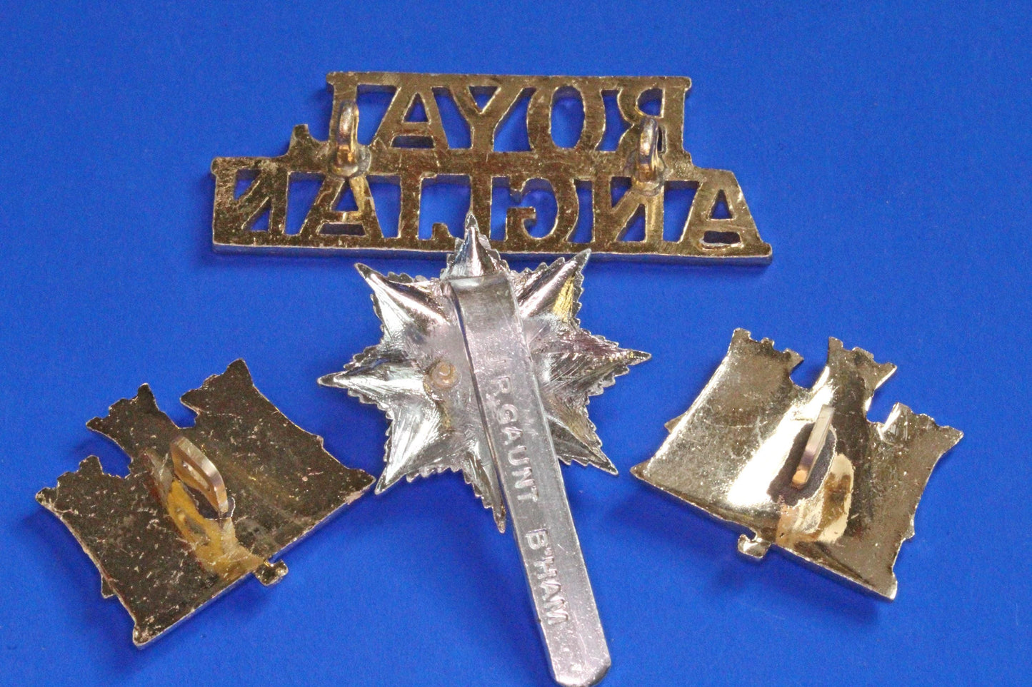 British Army Militaria - Royal Anglian Regiment, Cap, Collar badges & Titles, Staybrite     [07/26 35520]