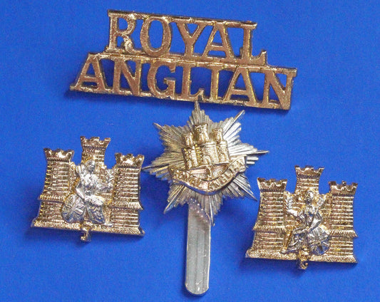 British Army Militaria - Royal Anglian Regiment, Cap, Collar badges & Titles, Staybrite     [07/26 35520]