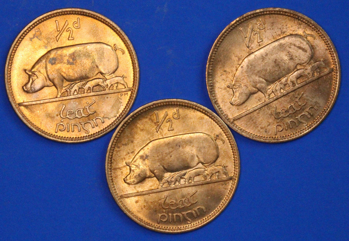 3 GENUINE 1967 Irish Half Pennies 1/2d EIRE Ireland coin, Sow & Piglets [09/26 35817]