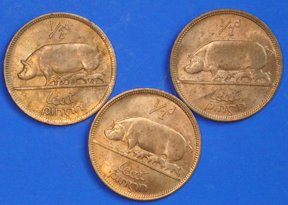 3 GENUINE 1967 Irish Half Pennies 1/2d EIRE Ireland coin, Sow & Piglets [09/26 35820]