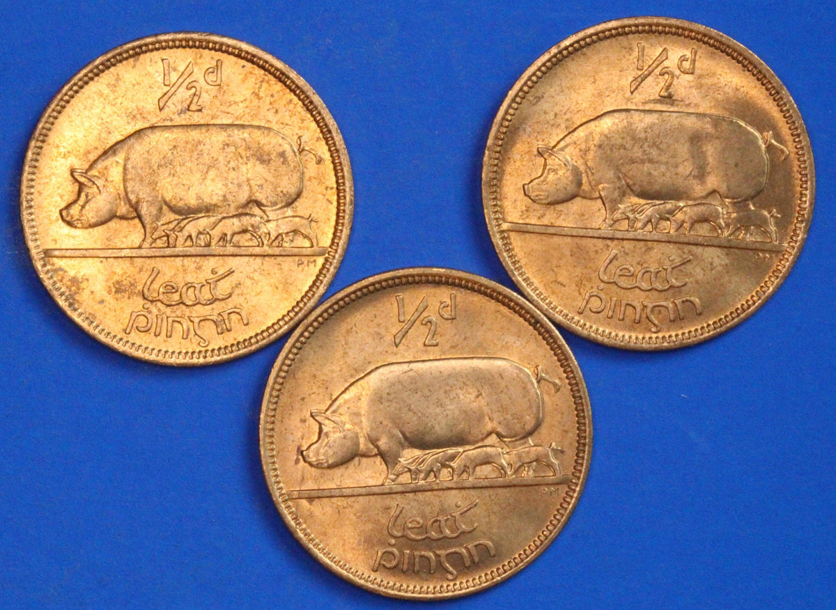 3 GENUINE 1967 Irish Half Pennies 1/2d EIRE Ireland coin, Sow & Piglets [09/26 35822]