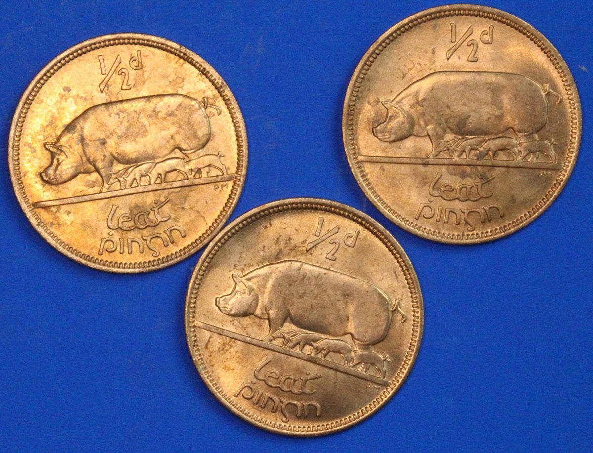 3 GENUINE 1967 Irish Half Pennies 1/2d EIRE Ireland coin, Sow & Piglets [09/26 35818]