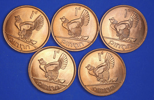 GENUINE 5 Irish Pennies EIRE Ireland coins, Hen Chicks, 1968, aUNC [10/26 35856]