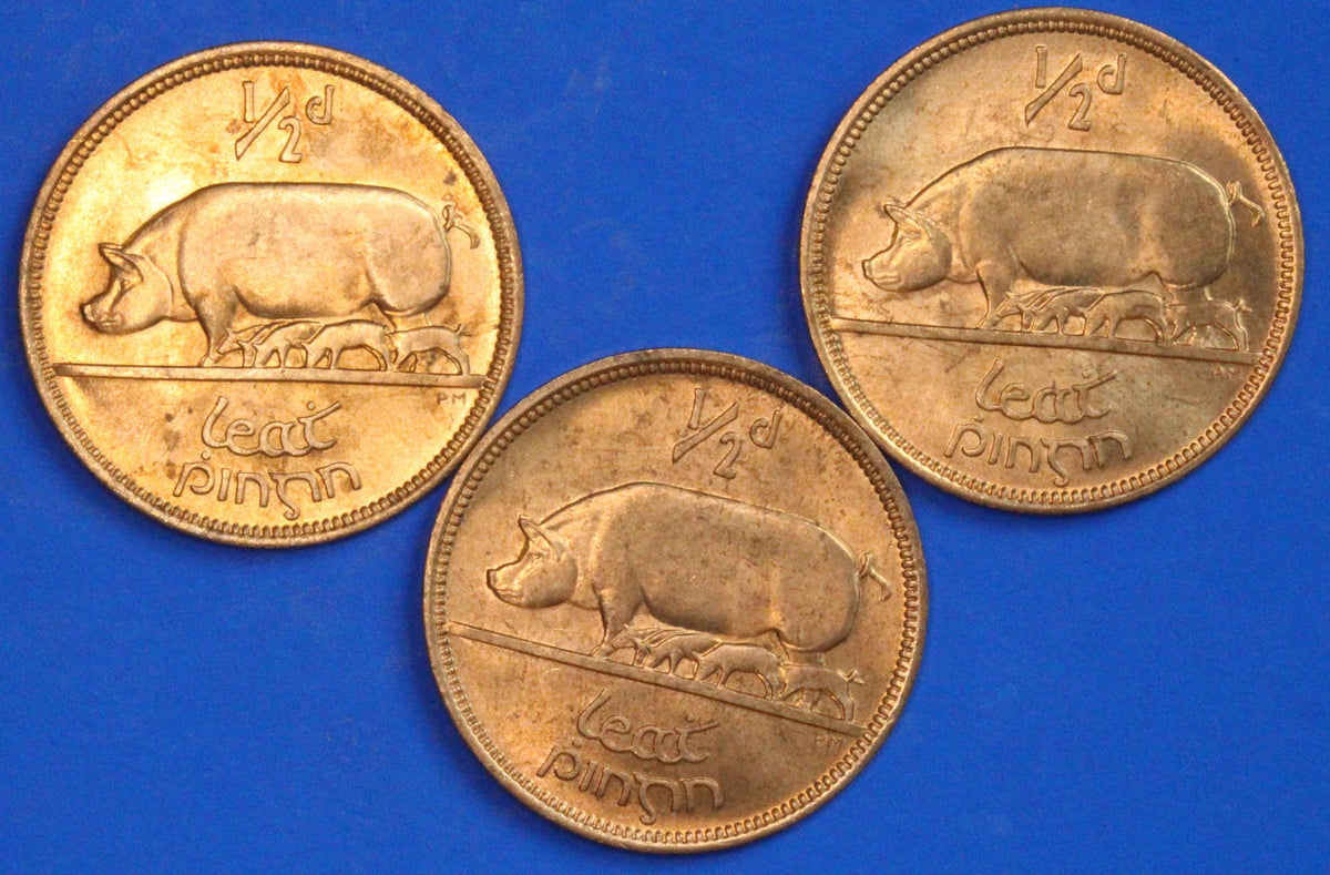 3 GENUINE 1967 Irish Half Pennies 1/2d EIRE Ireland coin, Sow & Piglets [09/26 35819]