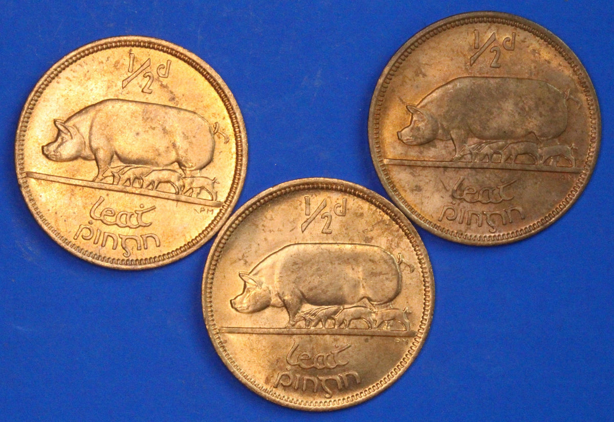 3 GENUINE 1967 Irish Half Pennies 1/2d EIRE Ireland coin, Sow & Piglets [09/26 35821]