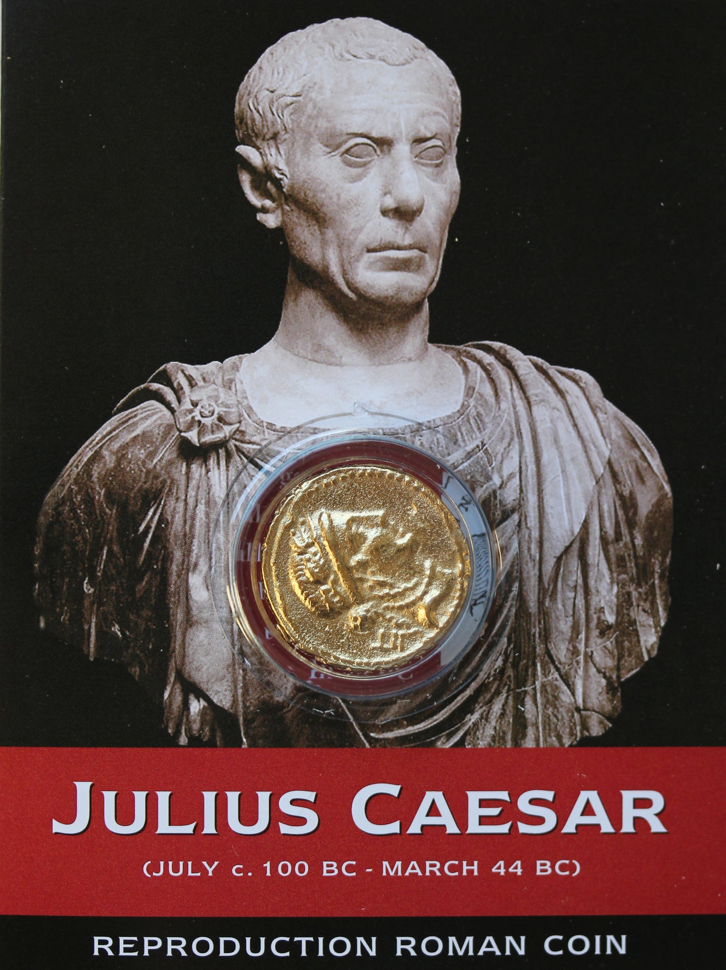 REPRODUCTION Roman coin, Julius Ceasar Aureus (19mm) in information pack  [SRCP1G]