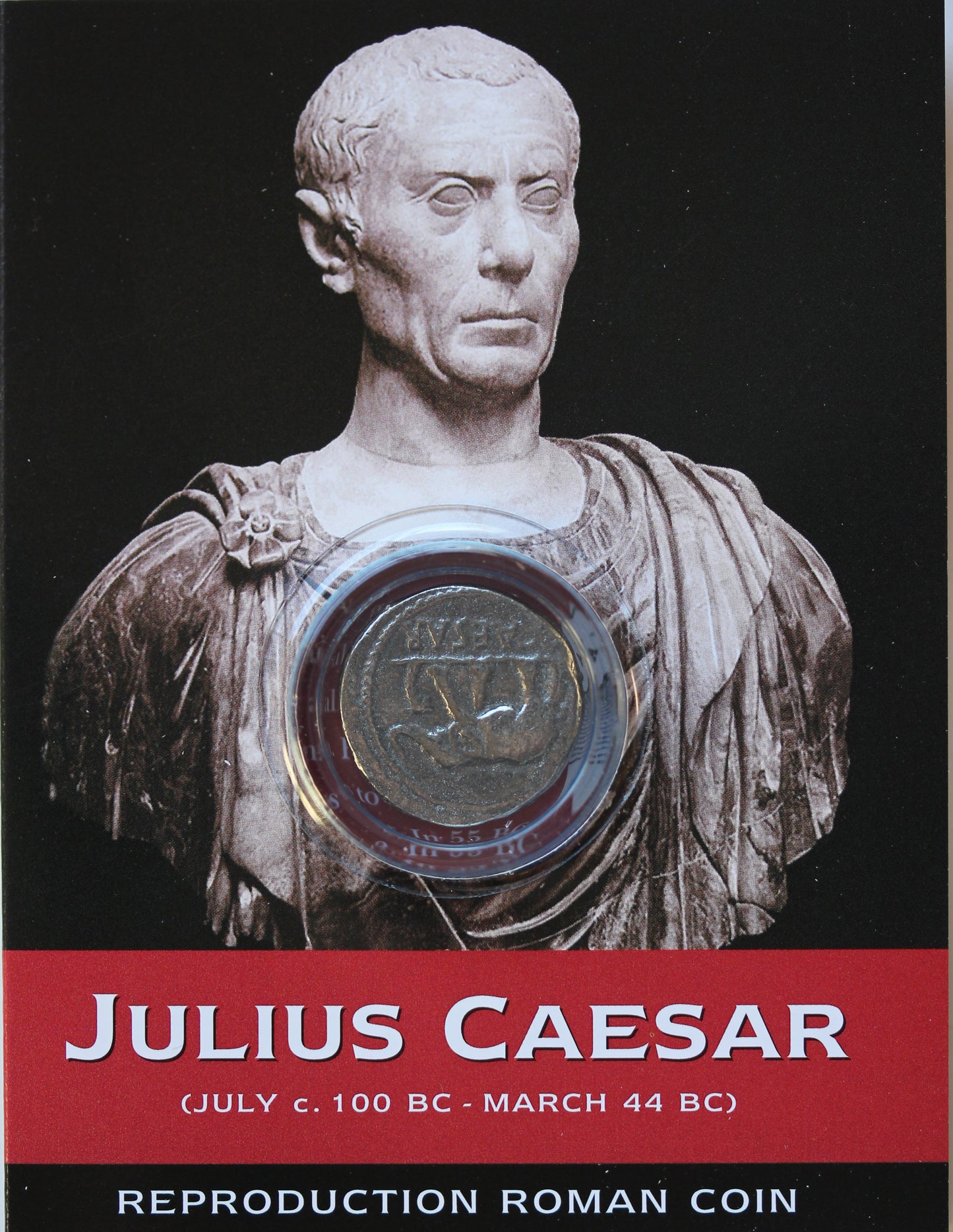 REPRODUCTION Roman coin, Julius Ceasar Denarius in information pack  [SRCP1P]